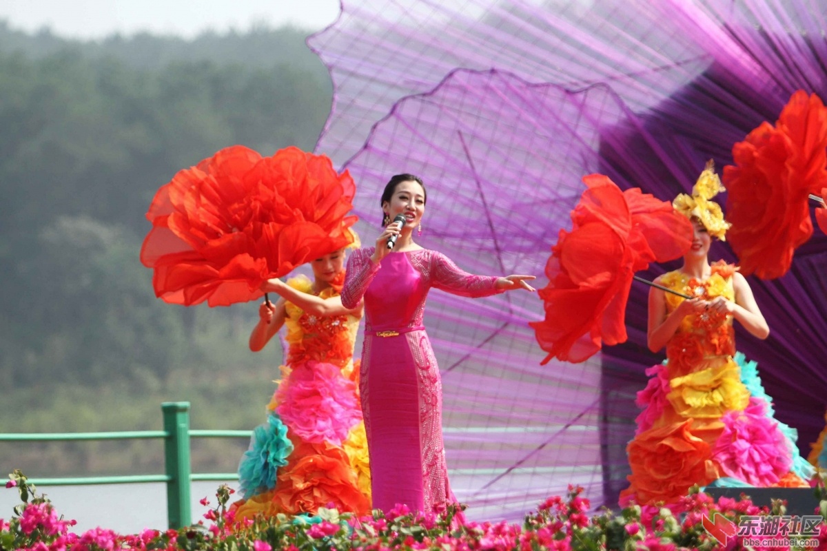 QQ图片20150825110208.jpg