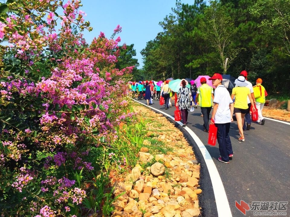 QQ图片20150825105853.jpg