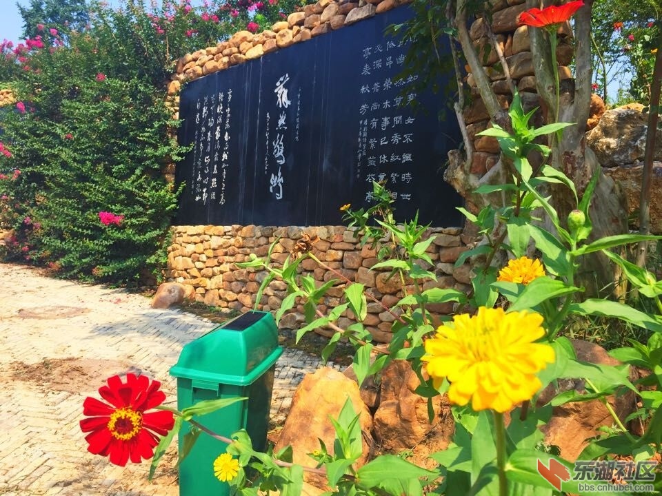 QQ图片20150825105909.jpg