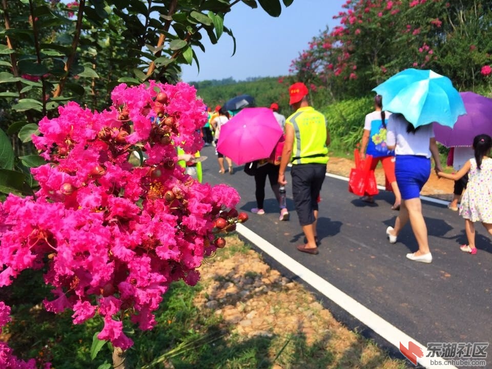 QQ图片20150826083133.jpg