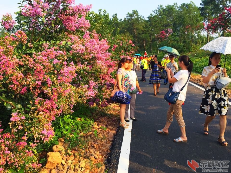QQ图片20150826083121.jpg