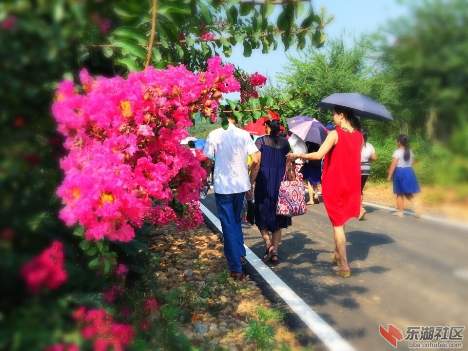 QQ图片20150826083139.jpg