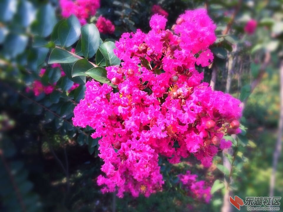 QQ图片20150826083136.jpg