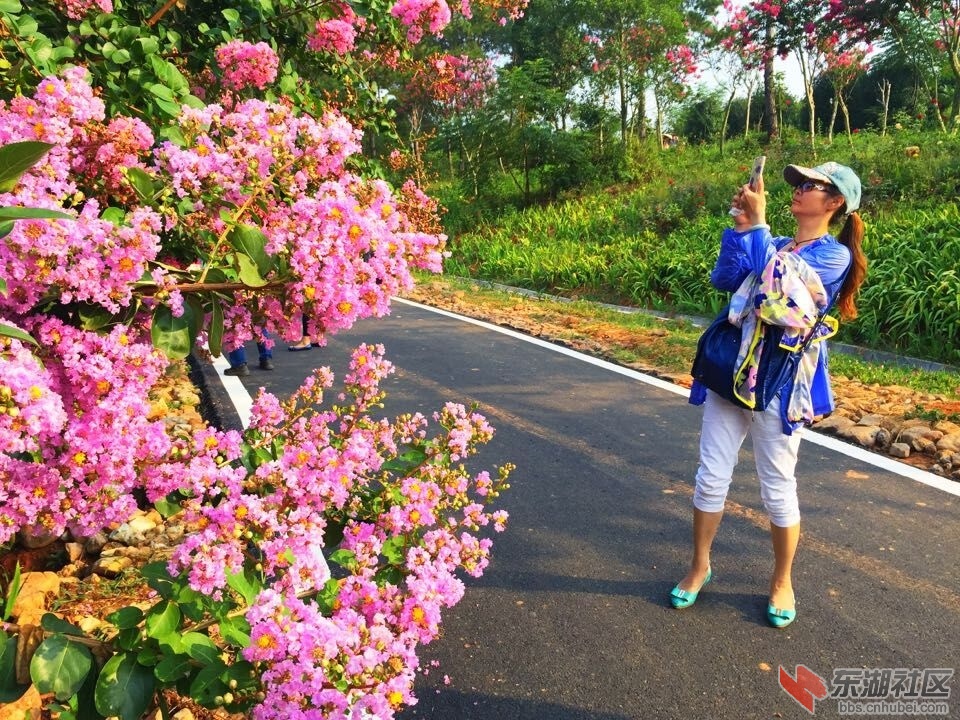 QQ图片20150826083153.jpg