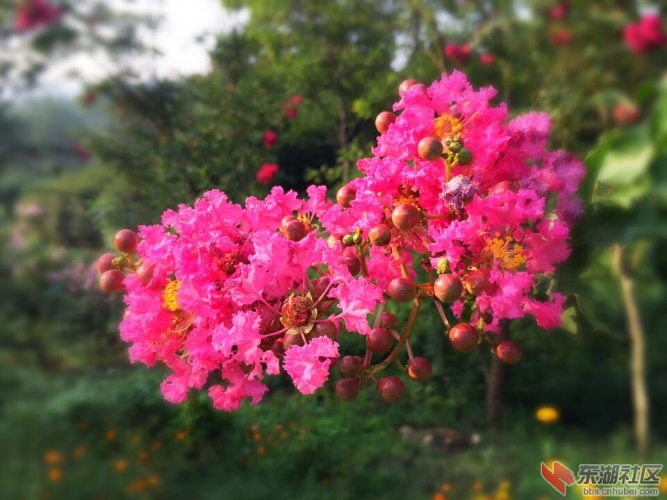 QQ图片20150826083158.jpg