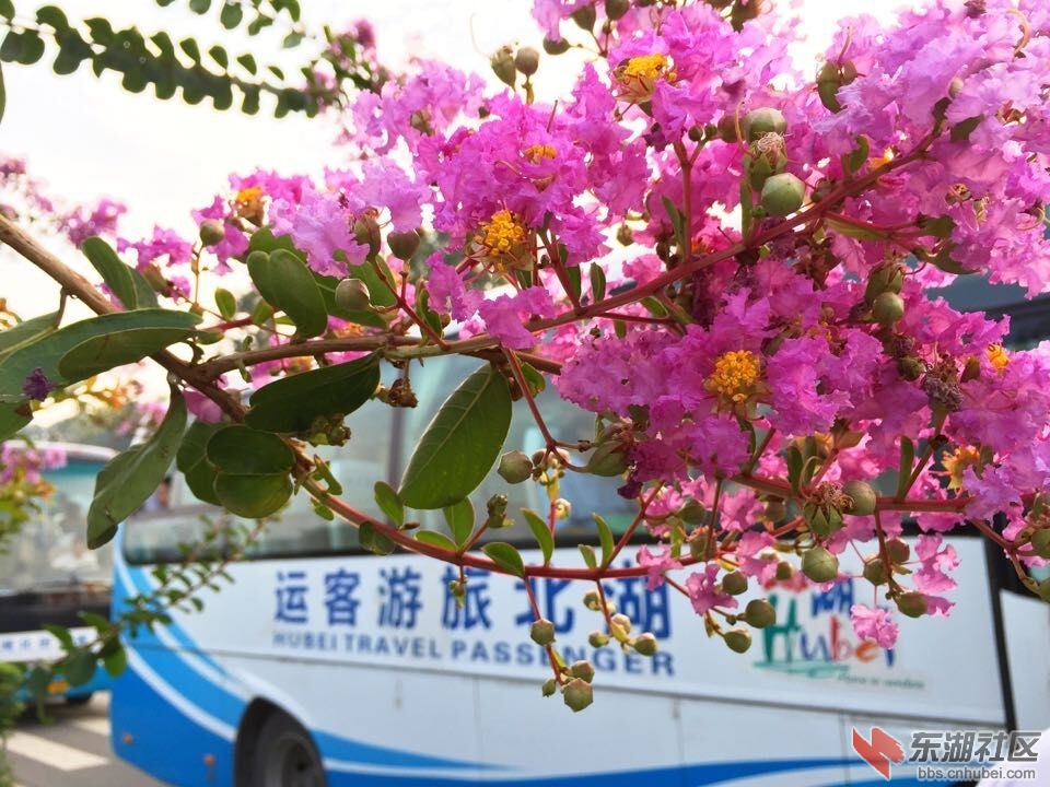 QQ图片20150826083212.jpg
