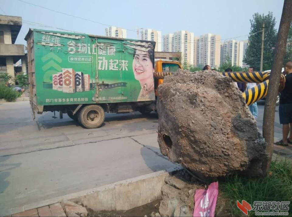 QQ图片20150825110241.jpg