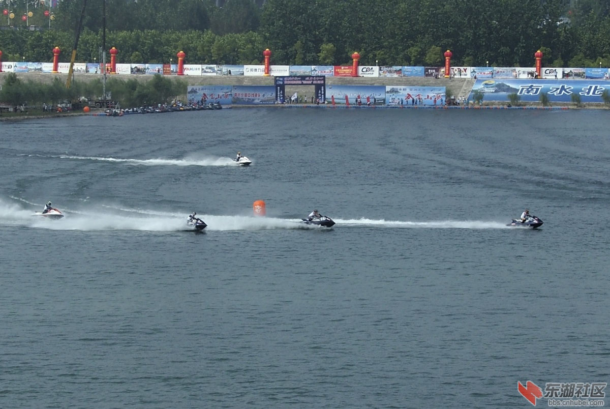 P81000490..jpg