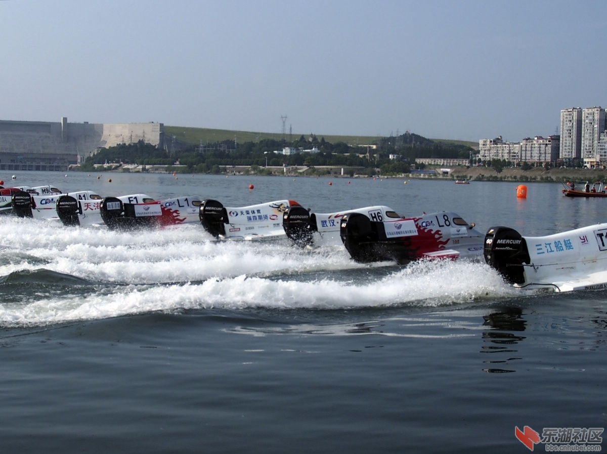 P81001550..jpg