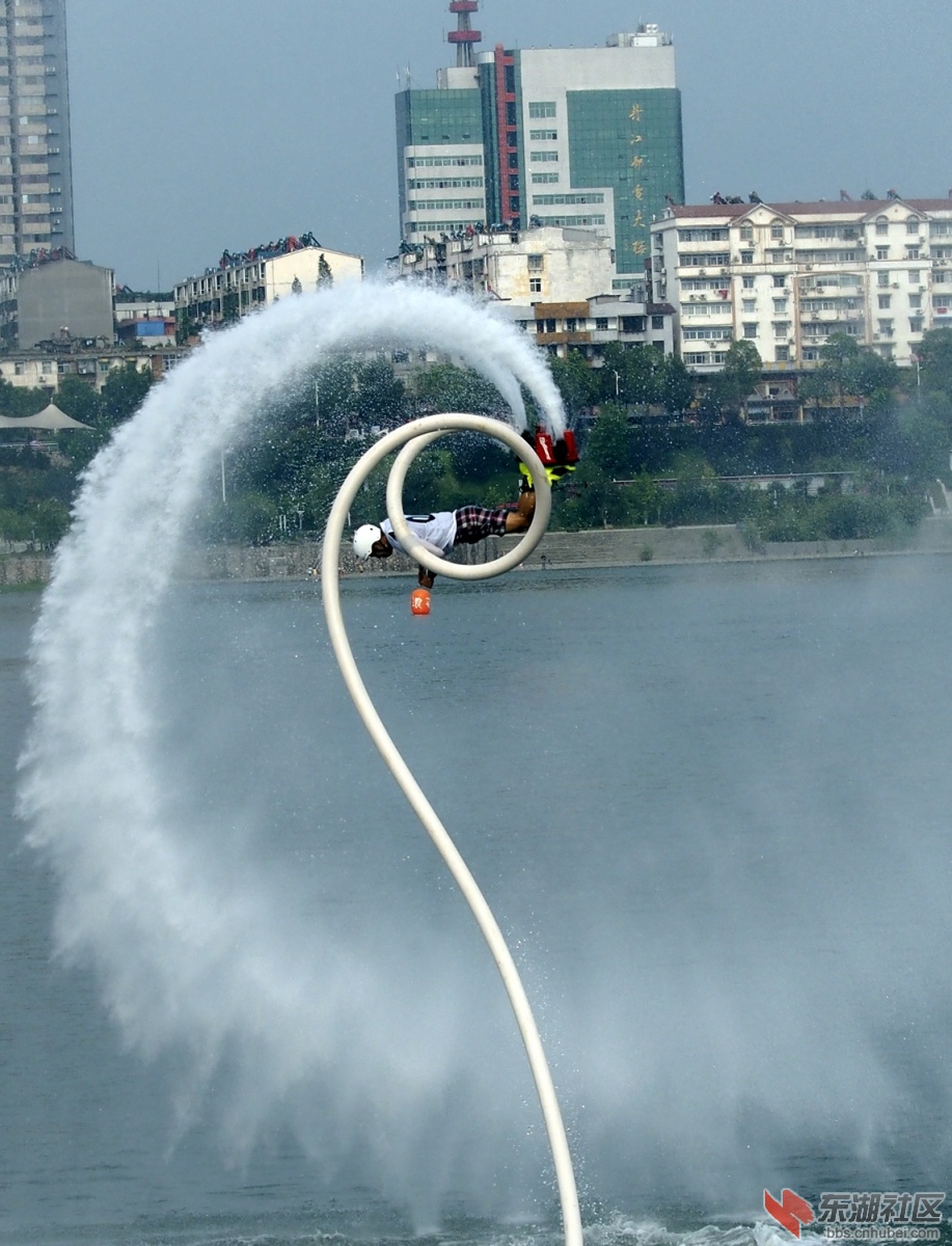 P81102640..jpg
