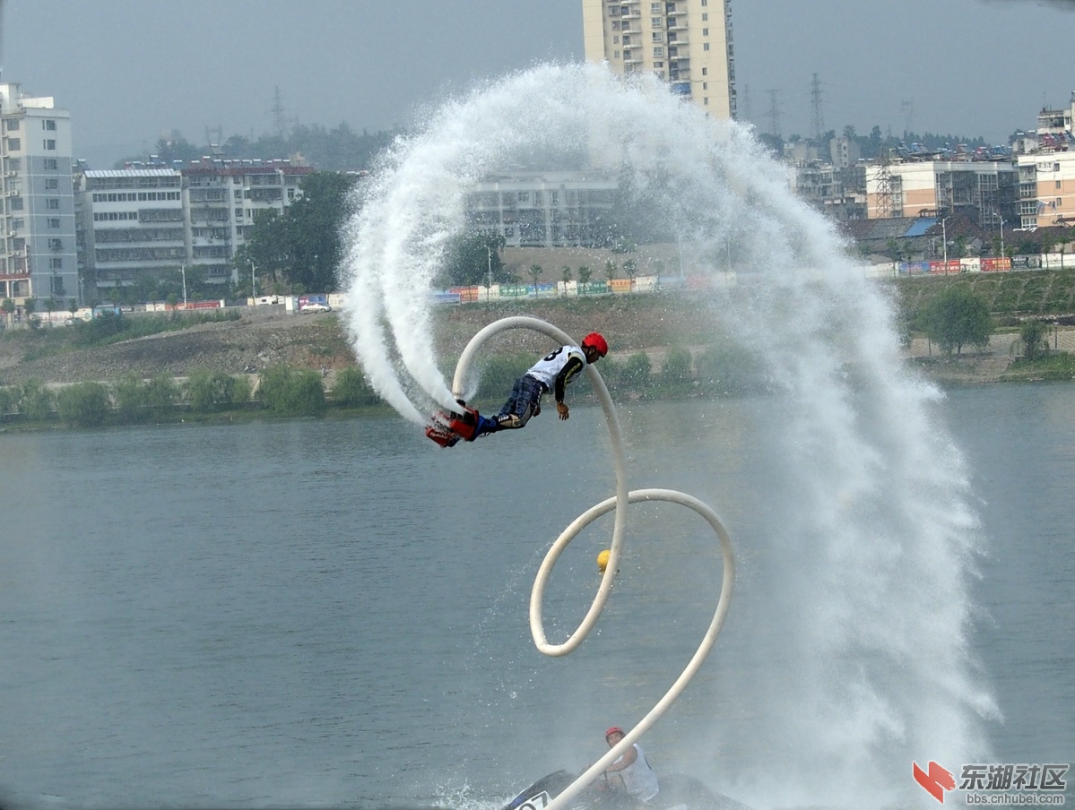 P81103970..jpg