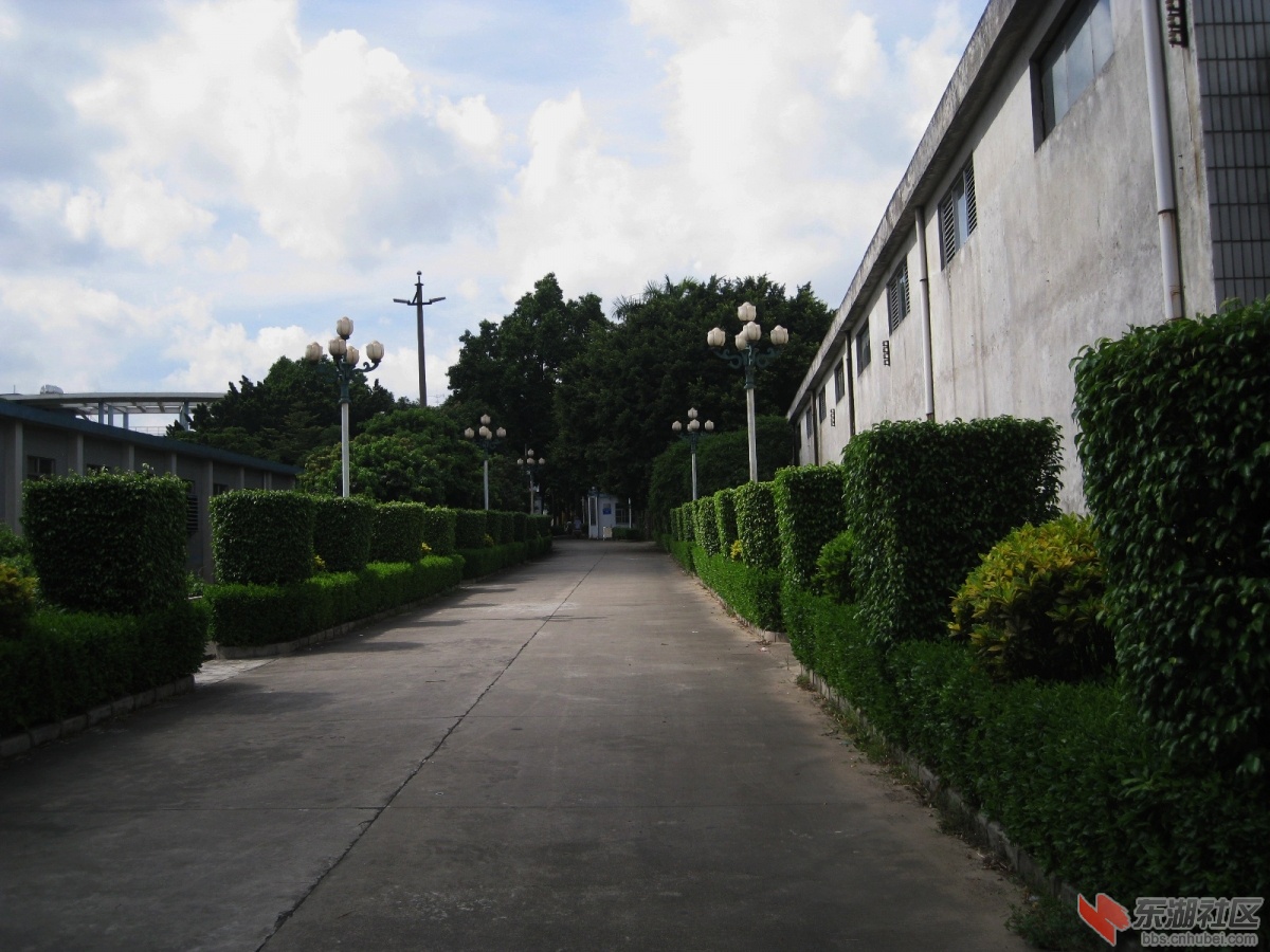IMG_1098_副本.jpg