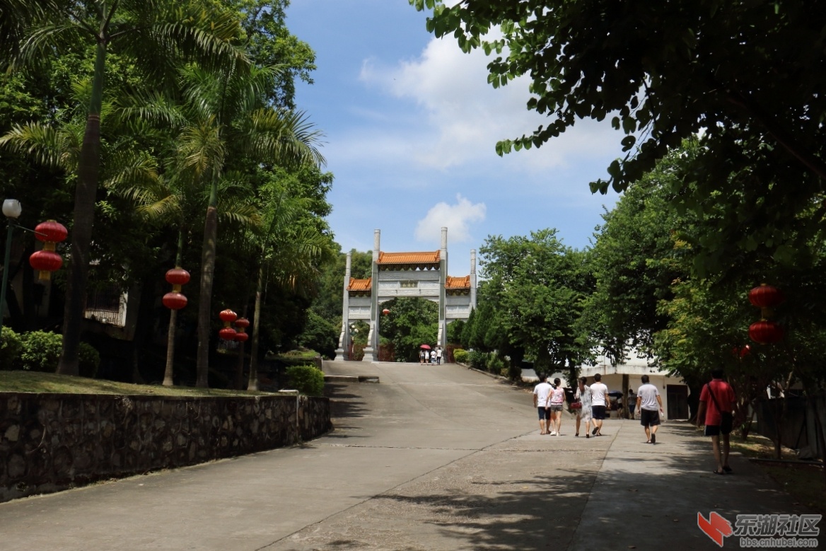 DPP_0005.JPG