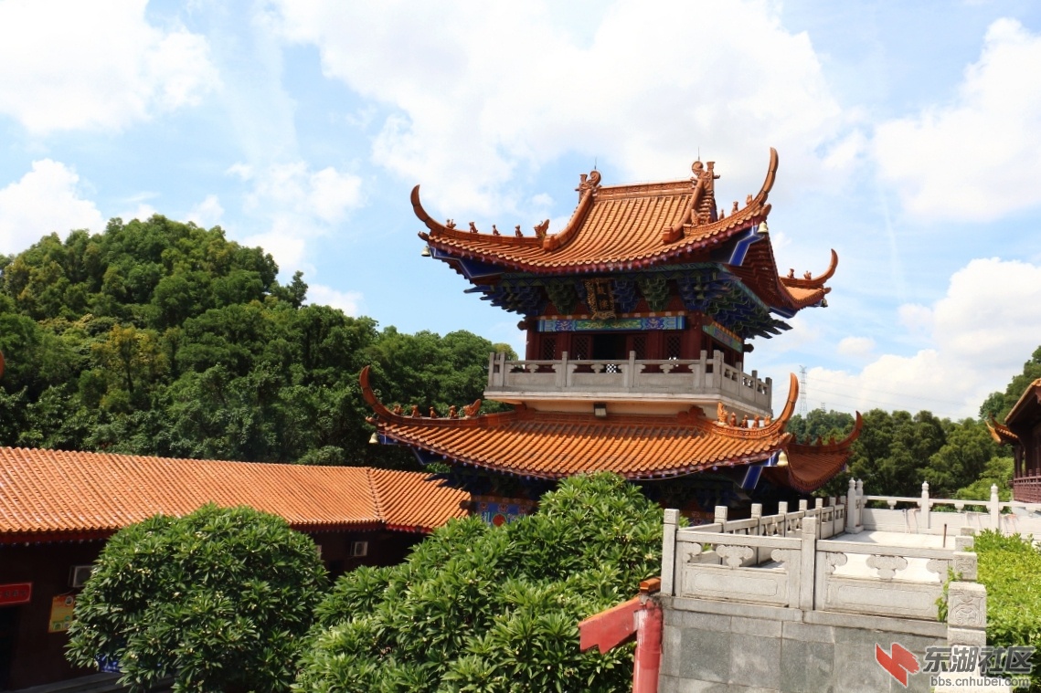 DPP_0010.JPG