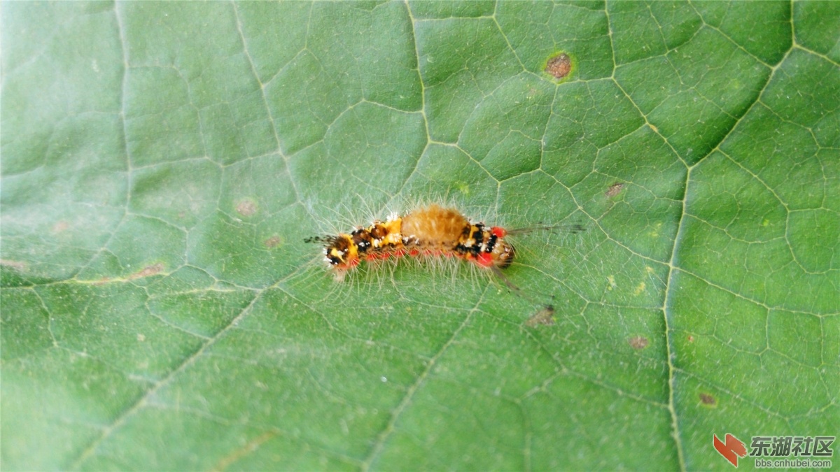 IMG_20150828_081529_副本.jpg