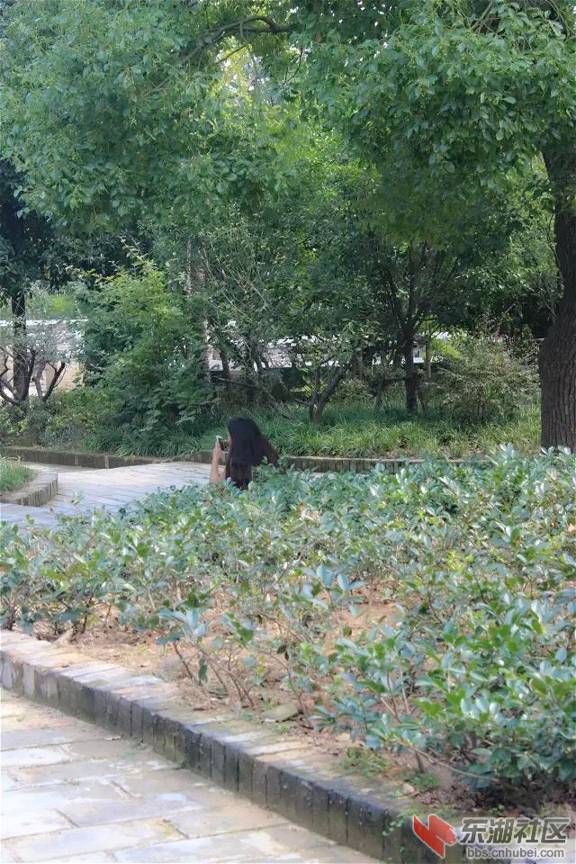 psb_meitu_28.jpg