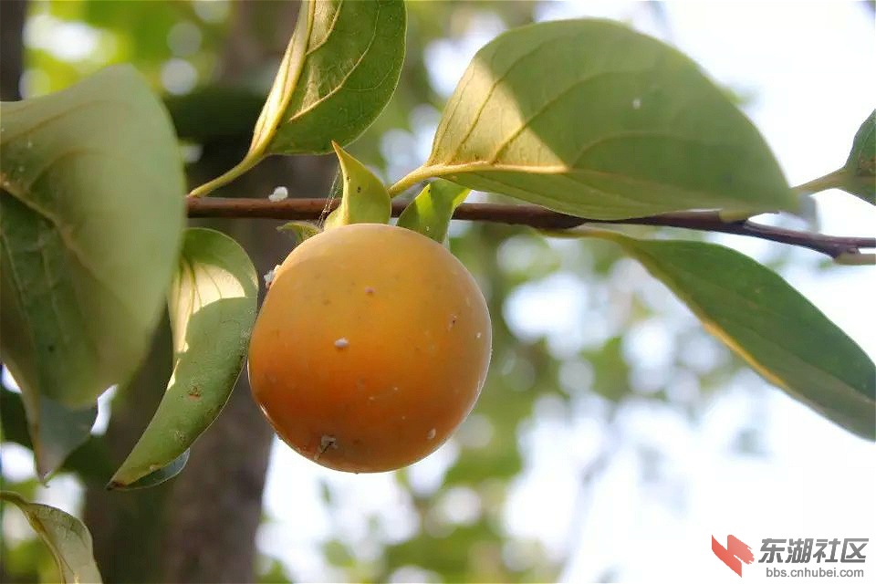 psb_meitu_34.jpg
