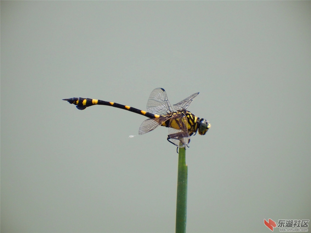 DSCF6917_副本.jpg