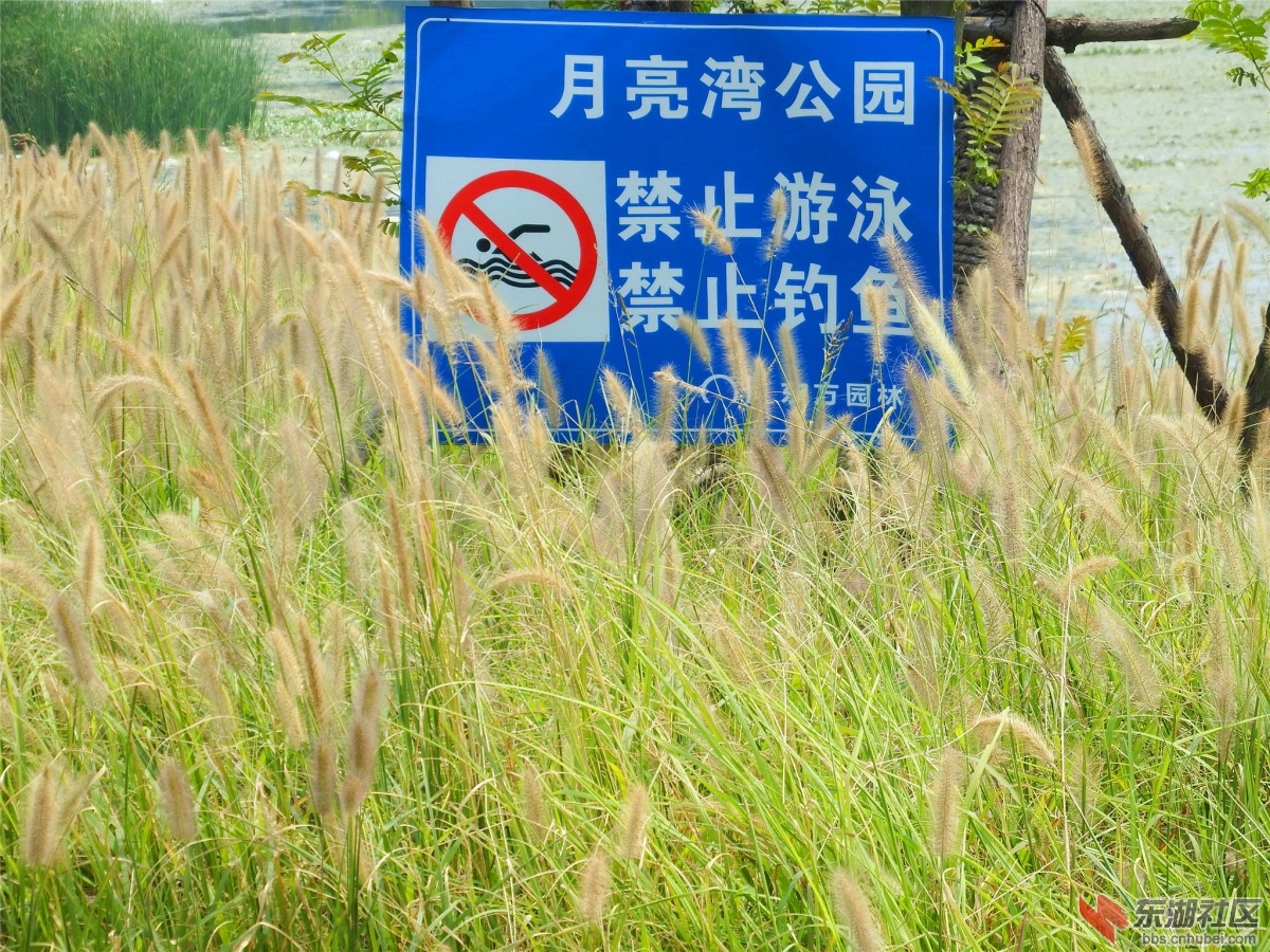 DSCF7046_副本.jpg