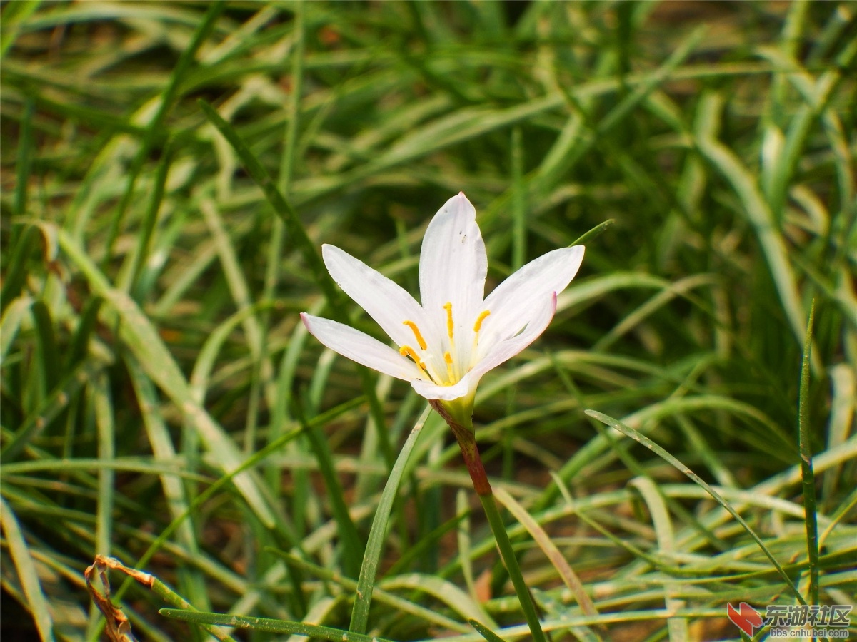 DSCF7048_副本.jpg