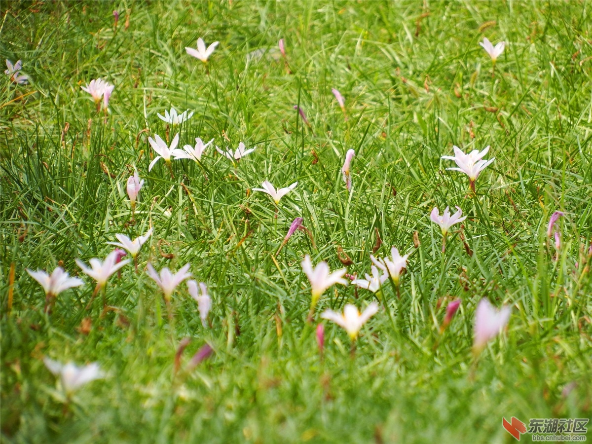 DSCF7049_副本.jpg
