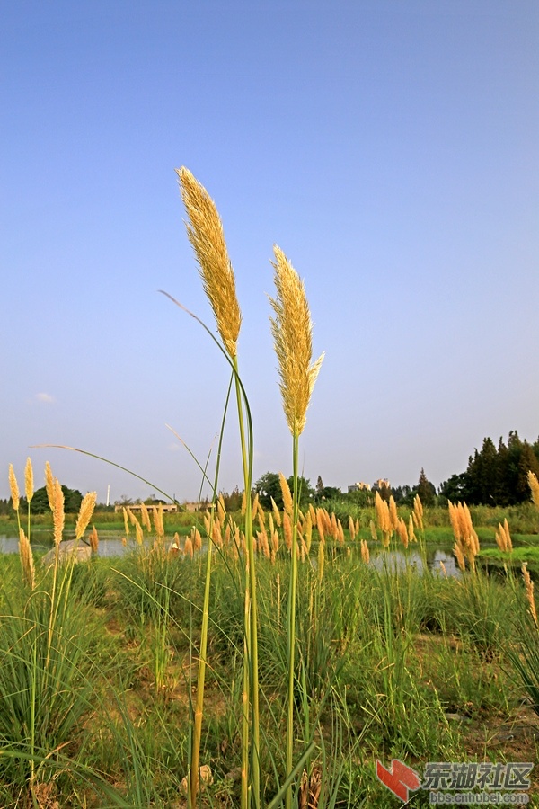 IMG_7283_副本.jpg