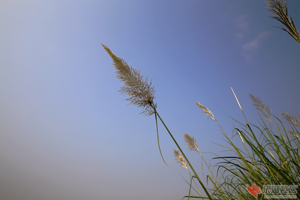 IMG_7295_副本.jpg