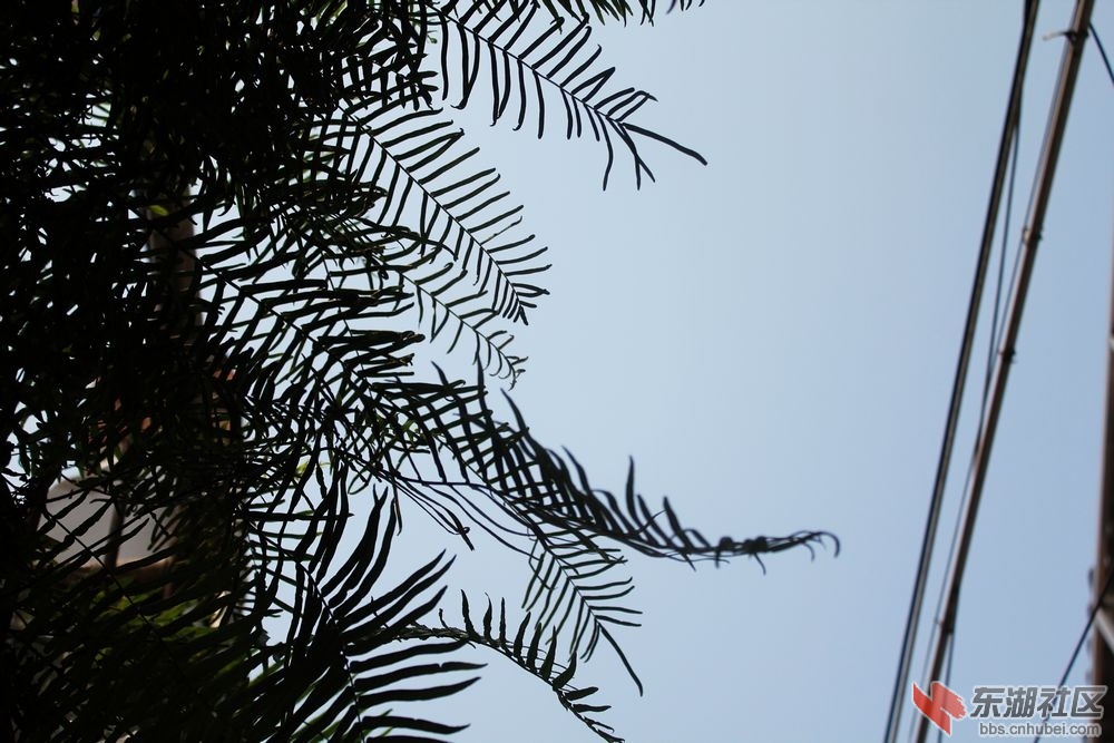 IMG_6686.JPG