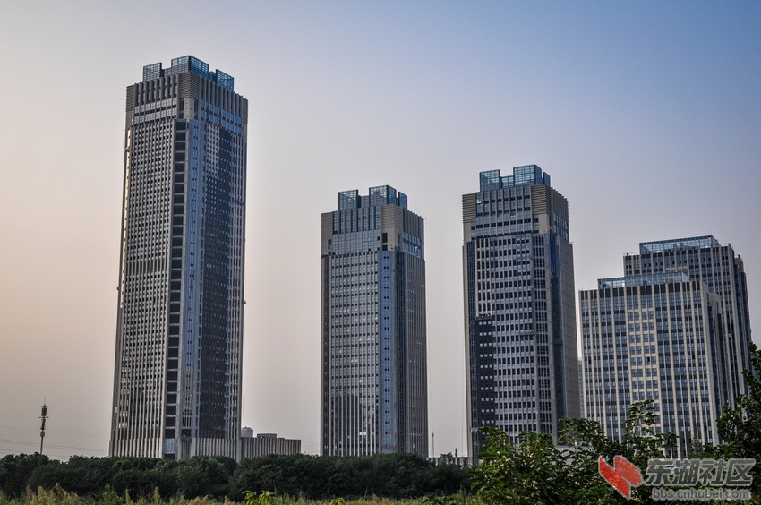 nEO_IMG_DSC_8094.jpg