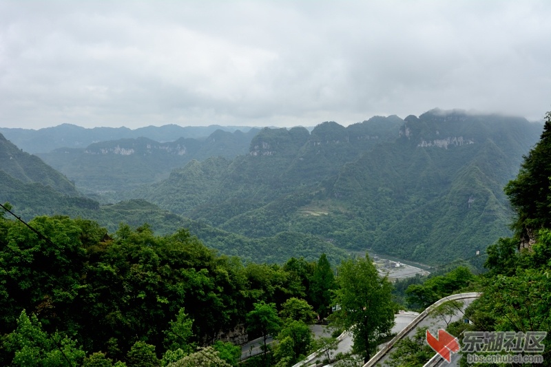 DSC_0983.JPG