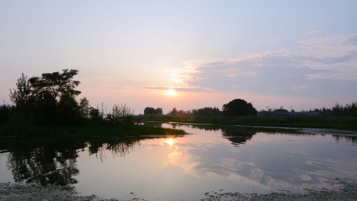 DSC_9335_副本.jpg