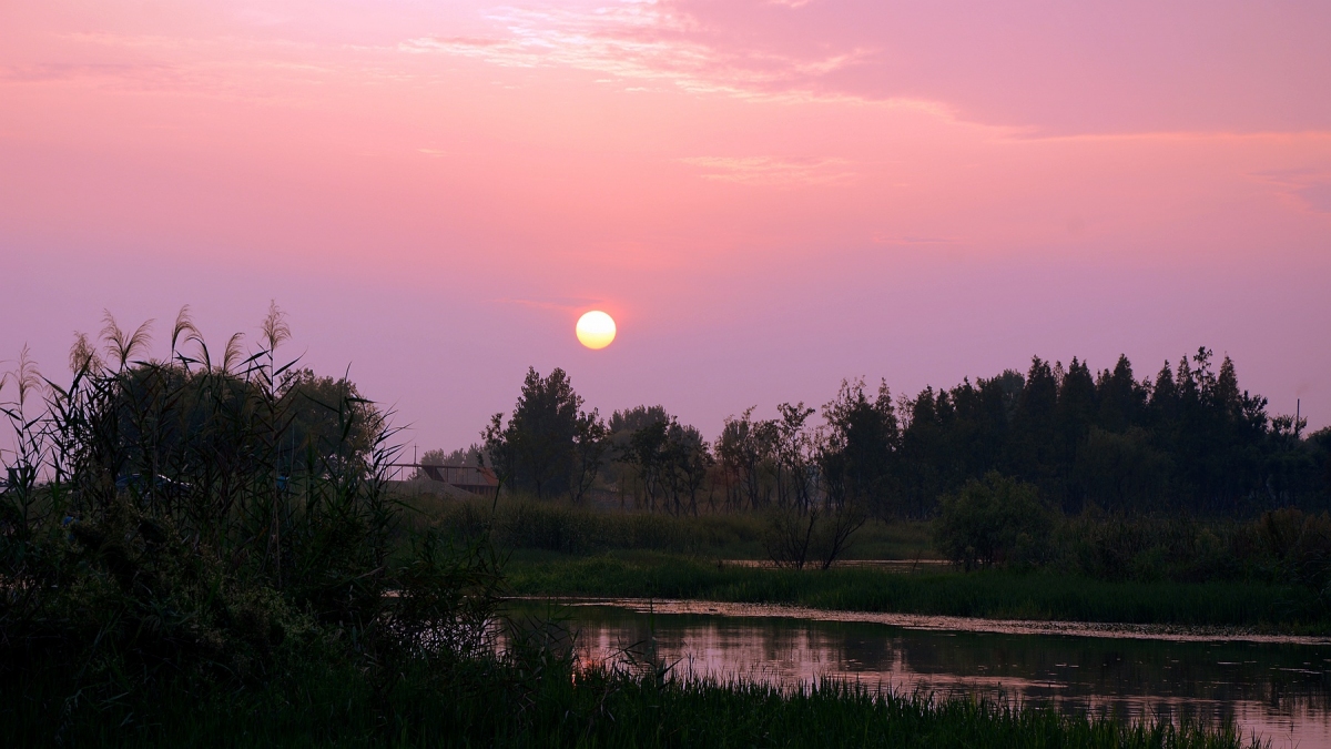 DSC_9364_副本.jpg