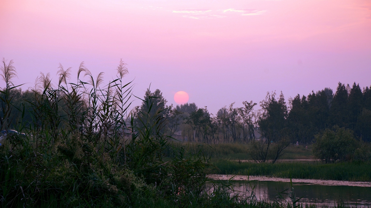 DSC_9381_副本.jpg