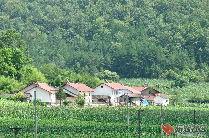 DSC_0189.JPG