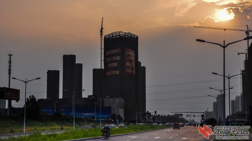 DSC_8113-2.jpg