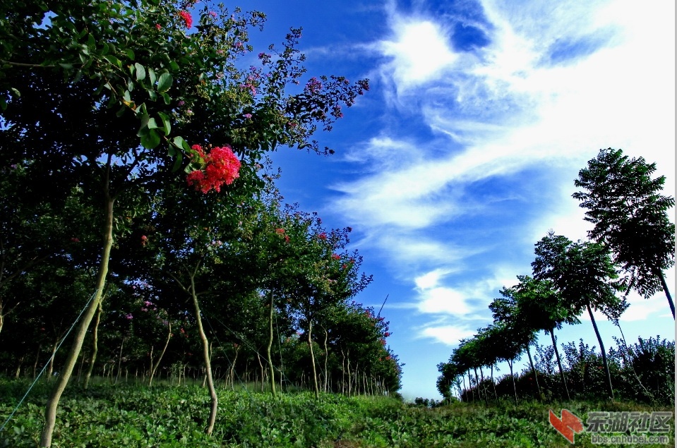 身邊的風景——美麗荊門.不斷添加中