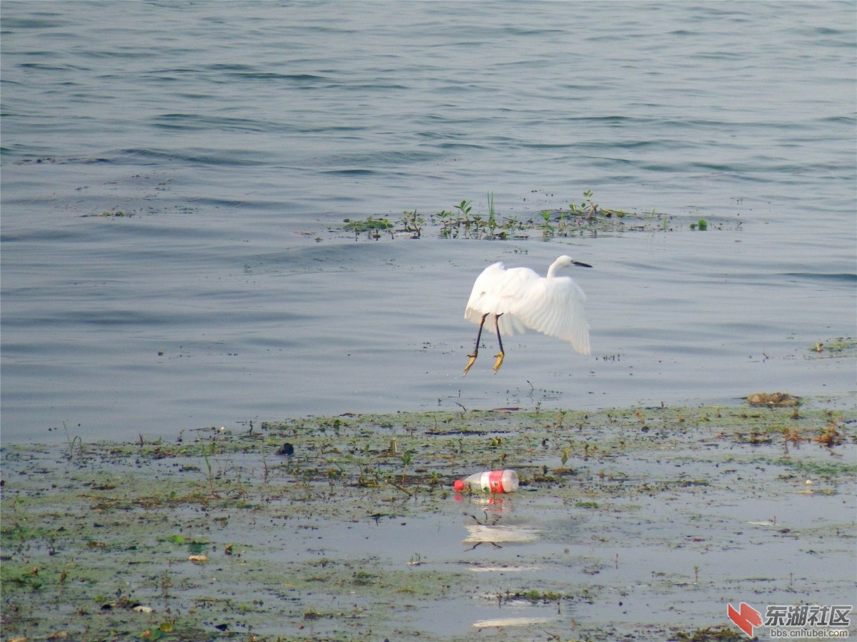 DSCF7453_副本.jpg