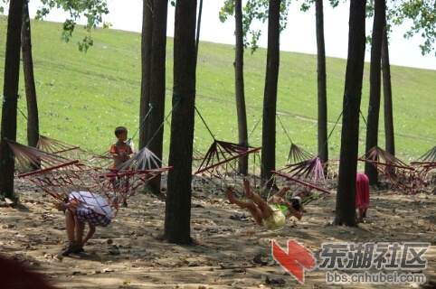 吊床1.jpg