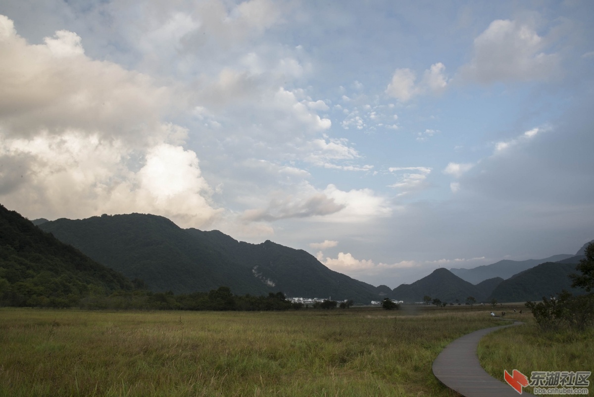 DSC_4719aa.jpg