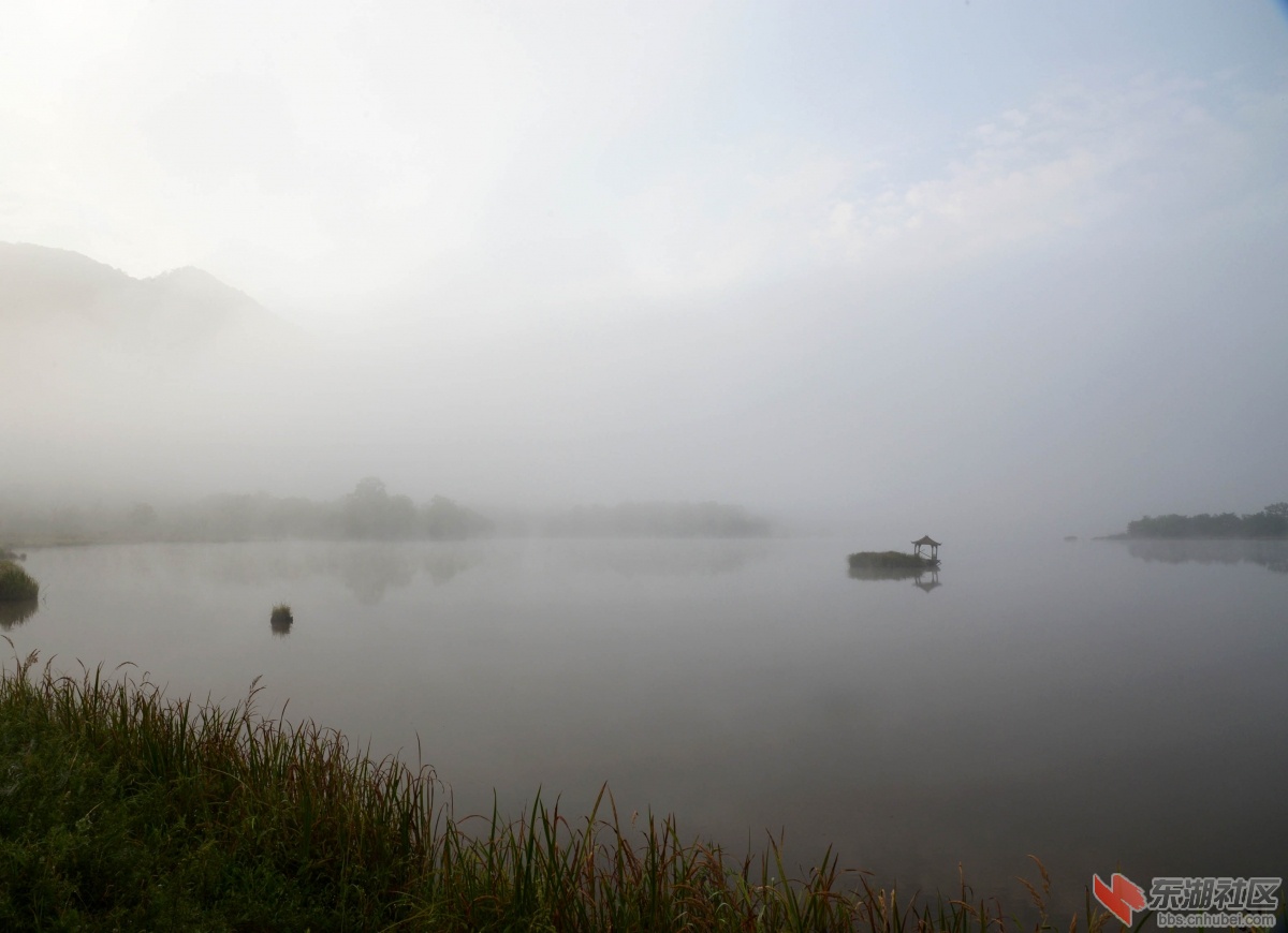 DSC_4748aa.jpg