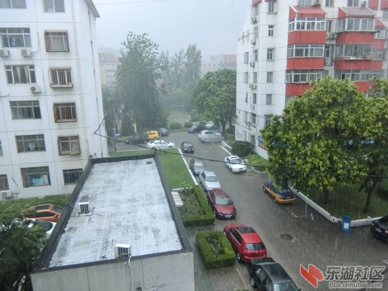 180037xpioorgpy31izri3_jpg_thumb.jpg