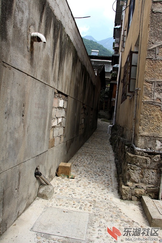IMG_6751_副本.jpg