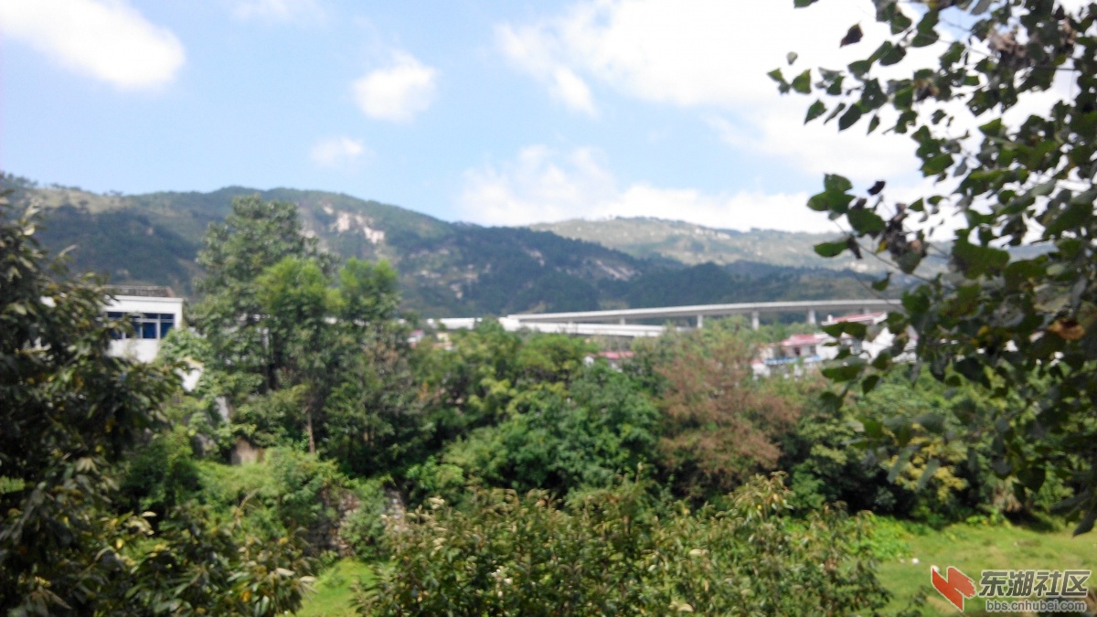 IMG_20150905_113807.jpg