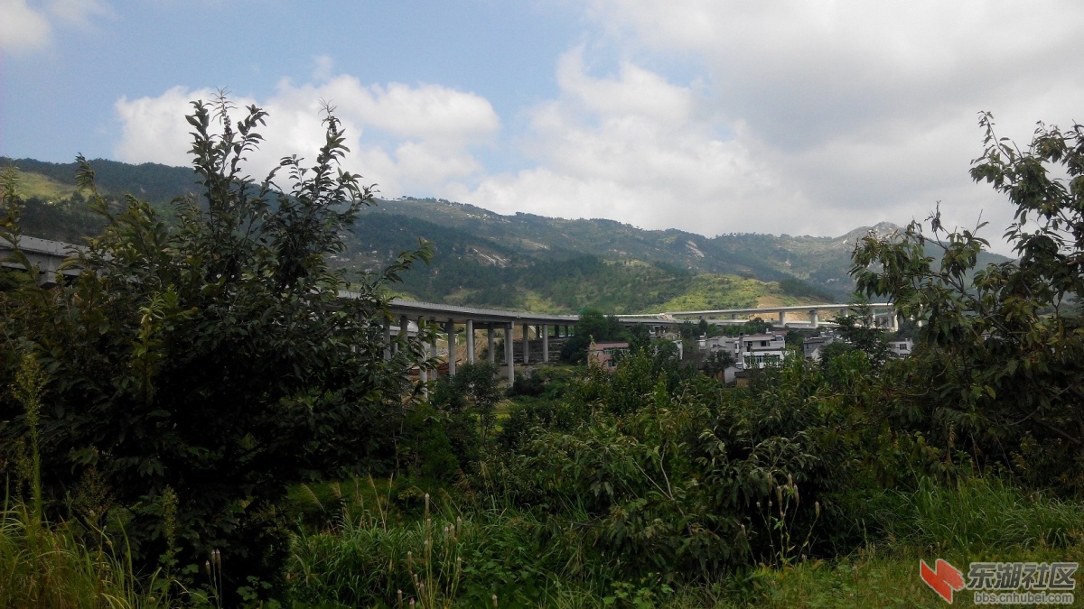 IMG_20150905_113221.jpg