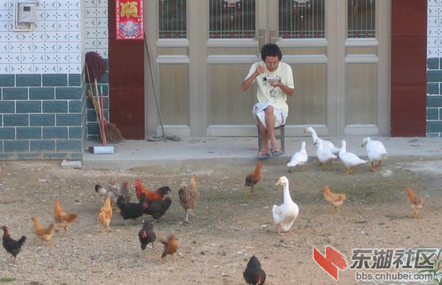 QQ截图2222.png