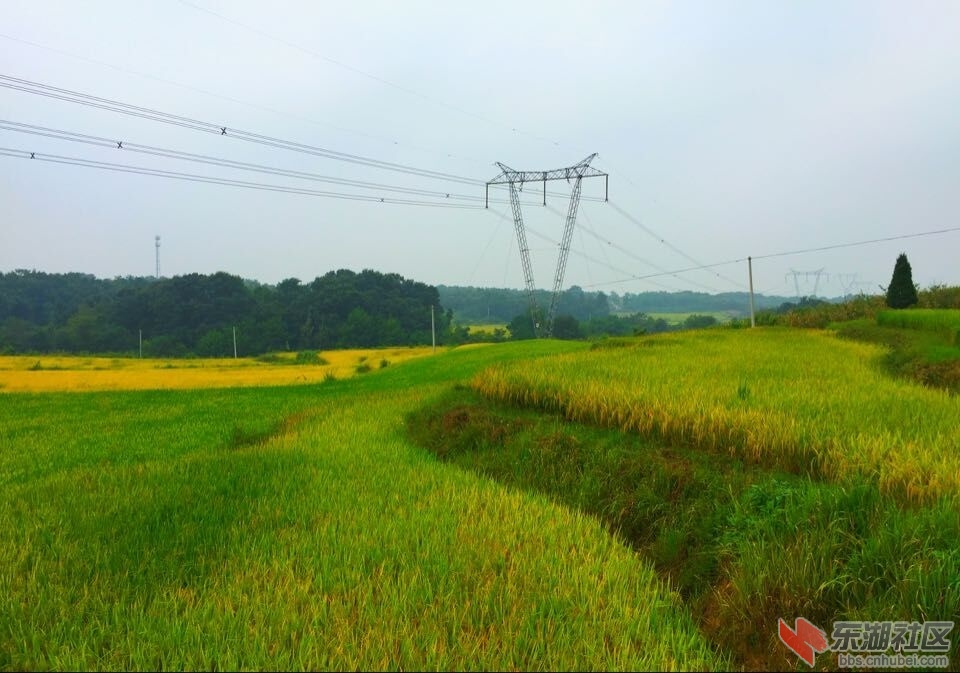 QQ图片20150907152029.jpg