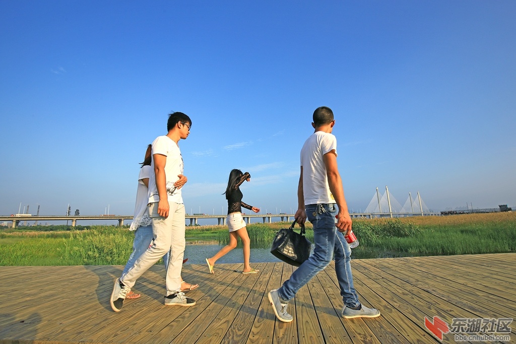 IMG_7372_副本.jpg