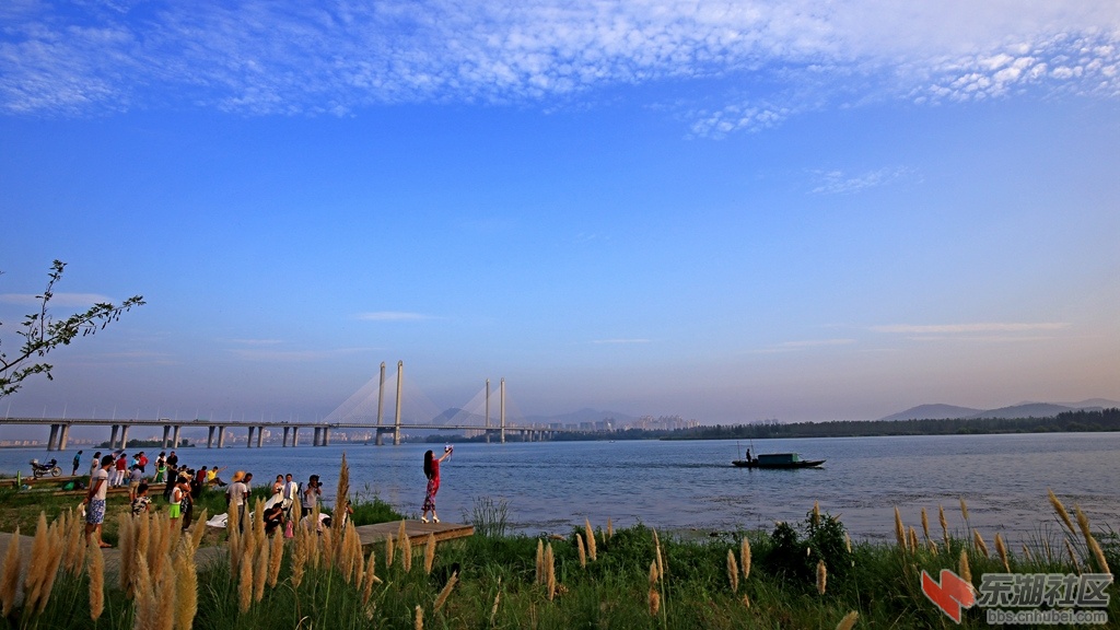 IMG_7397_副本_副本.jpg
