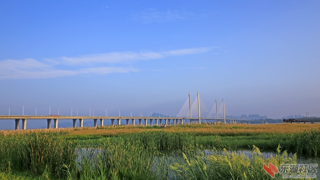 IMG_7351_副本.jpg