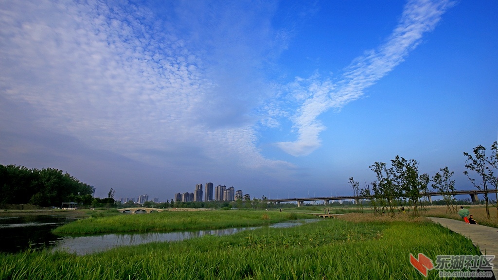 IMG_7386_副本.jpg